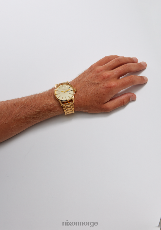 Nixon vakt i rustfritt stål 42H0X7 se sølv/gull